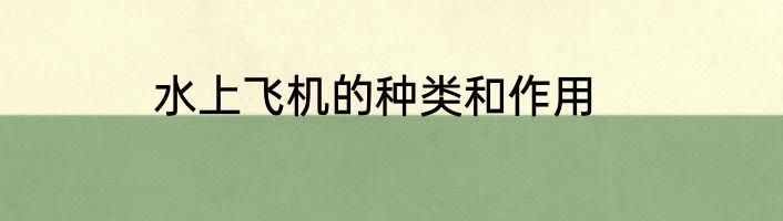 水上飞机的种类和作用