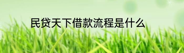 民贷天下借款流程是什么