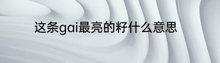这条gai最亮的籽什么意思