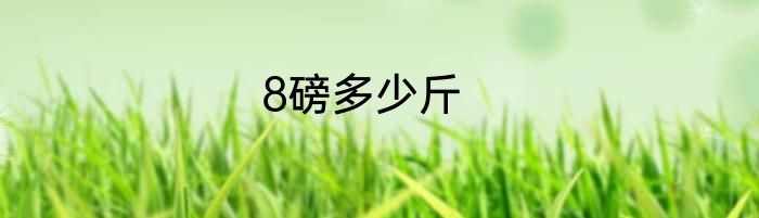 8磅多少斤