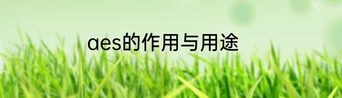 aes的作用与用途