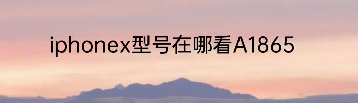 iphonex型号在哪看A1865