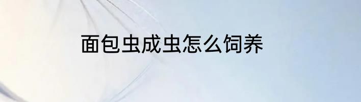 面包虫成虫怎么饲养