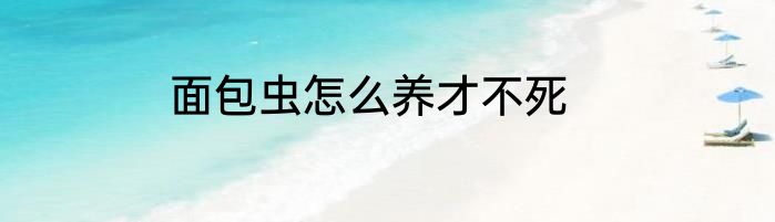 面包虫怎么养才不死