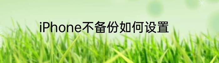 iPhone不备份如何设置