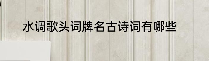 水调歌头词牌名古诗词有哪些