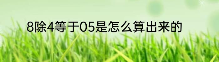 8除4等于05是怎么算出来的