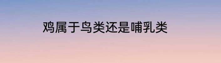 鸡属于鸟类还是哺乳类