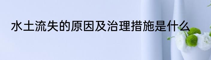 水土流失的原因及治理措施是什么