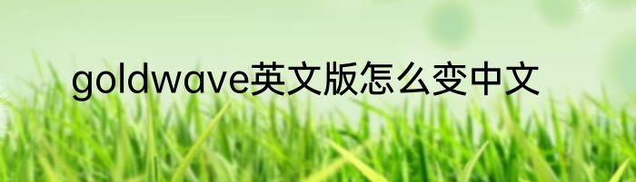 goldwave英文版怎么变中文