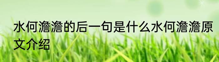 水何澹澹的后一句是什么水何澹澹原文介绍
