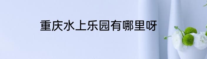 重庆水上乐园有哪里呀