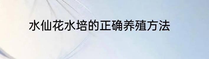 水仙花水培的正确养殖方法