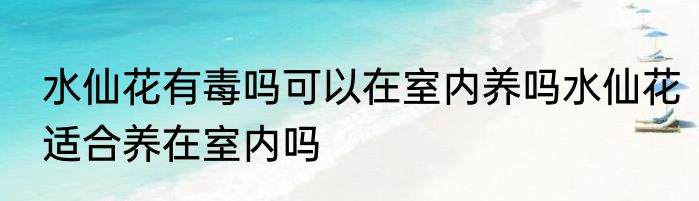 水仙花有毒吗可以在室内养吗水仙花适合养在室内吗