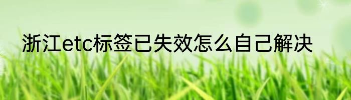 浙江etc标签已失效怎么自己解决