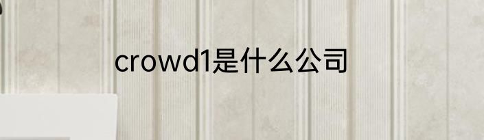 crowd1是什么公司