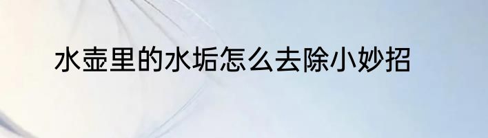 水壶里的水垢怎么去除小妙招