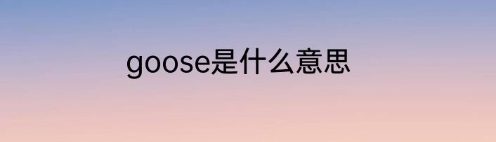 goose是什么意思
