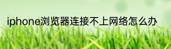 iphone浏览器连接不上网络怎么办