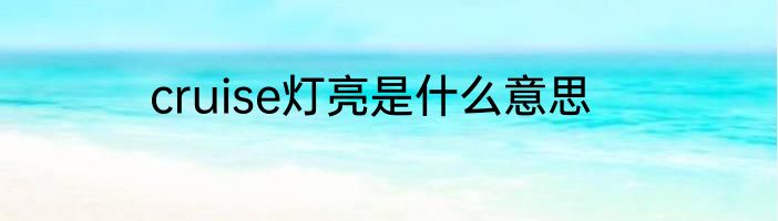 cruise灯亮是什么意思