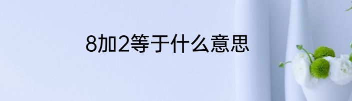 8加2等于什么意思