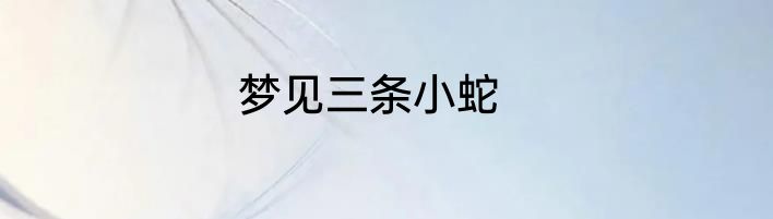 梦见三条小蛇