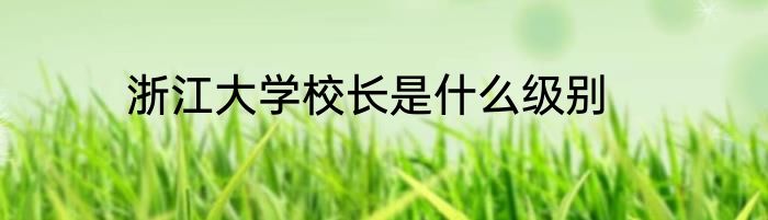 浙江大学校长是什么级别
