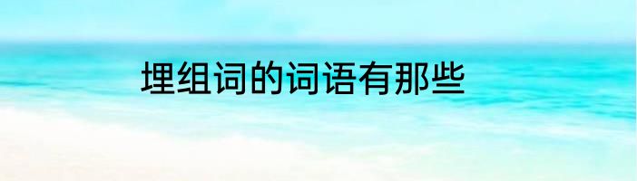 埋组词的词语有那些