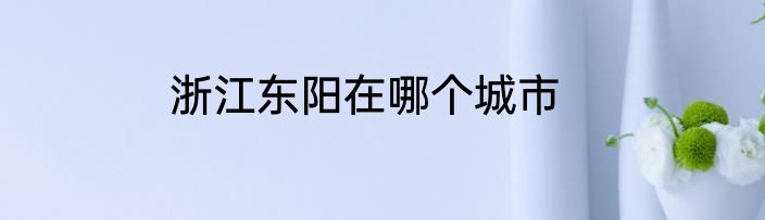 浙江东阳在哪个城市