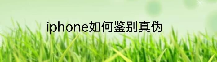 iphone如何鉴别真伪