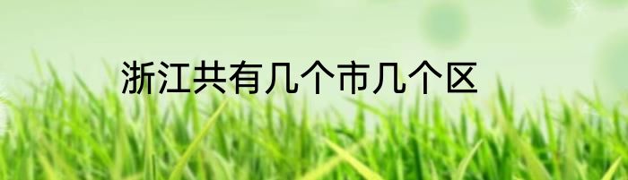 浙江共有几个市几个区