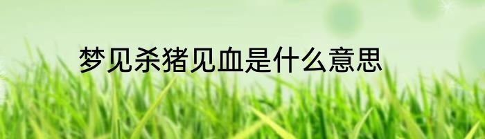 梦见杀猪见血是什么意思