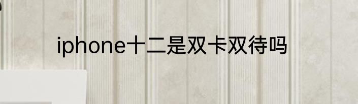 iphone十二是双卡双待吗