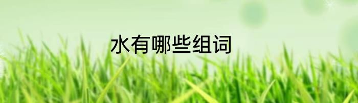 水有哪些组词