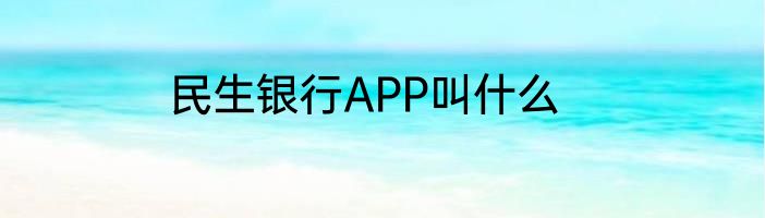 民生银行APP叫什么