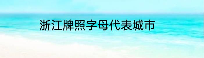 浙江牌照字母代表城市