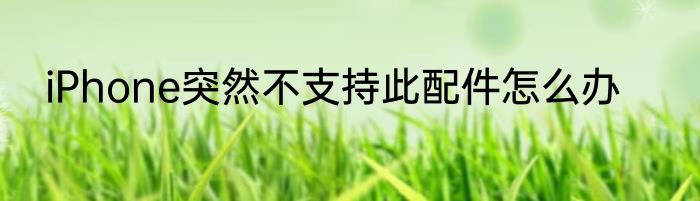 iPhone突然不支持此配件怎么办