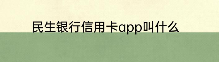 民生银行信用卡app叫什么