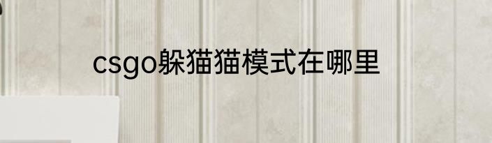 csgo躲猫猫模式在哪里
