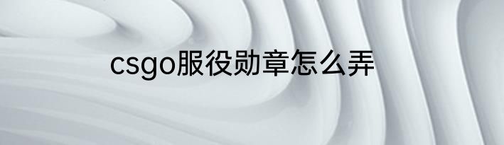 csgo服役勋章怎么弄