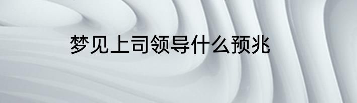 梦见上司领导什么预兆