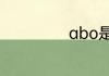 abo是什么意思梗