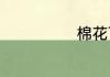 棉花可以做什么
