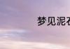 梦见泥石流山体滑坡