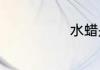 水蜡是什么东西