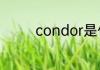 condor是什么牌子的手表