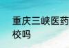 重庆三峡医药高等专科学校是211院校吗