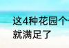 这4种花园个个美上天有一个这辈子就满足了