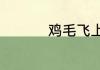 鸡毛飞上天中王旭是谁