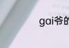 gai爷的真名叫什么